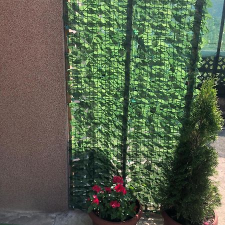 Gracia Apartment Яйце Екстериор снимка